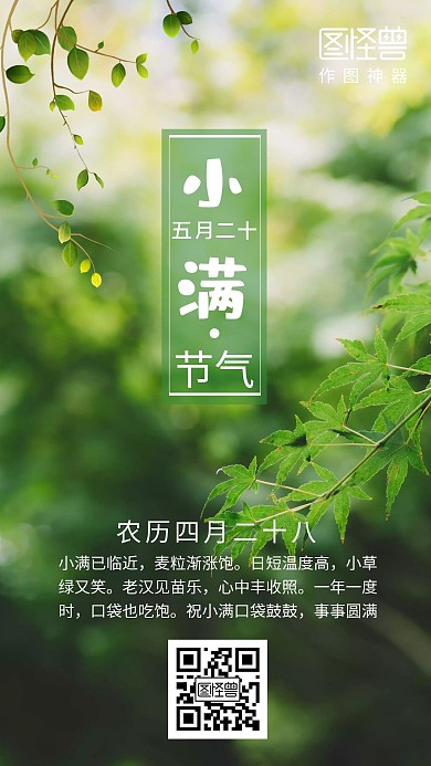 绿色植物简约风美好日签手机海报 小满