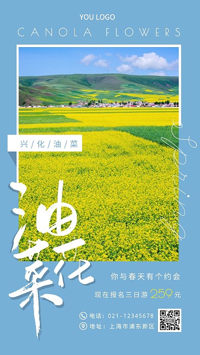 简约摄影蓝色兴化油菜花旅游宣传手机海报