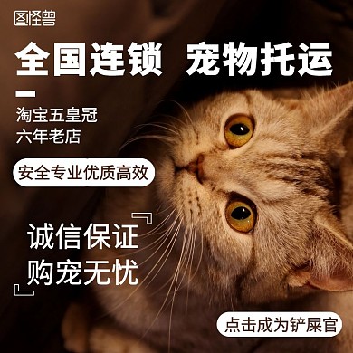 .宠物主图直通车