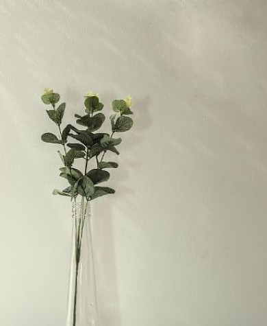 ins风简约静物iwatch表盘背景
