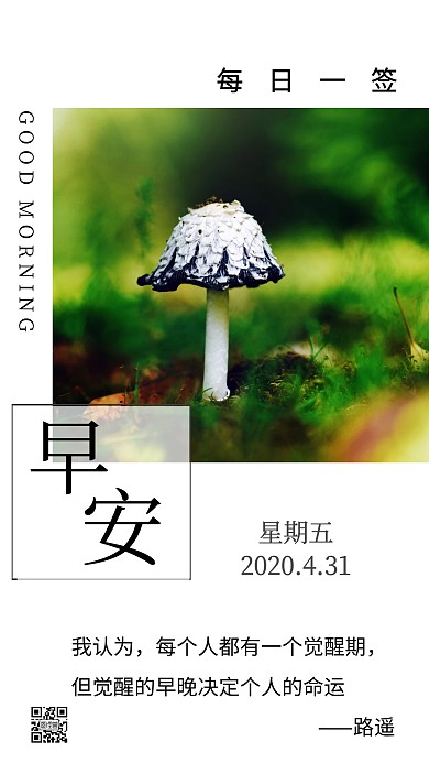 早安森林里的蘑菇绿色摄影日签
