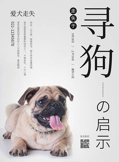 黑白简约几何摄影寻犬启示