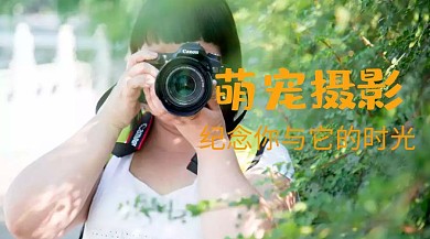 宠物摄影写真公众号封面