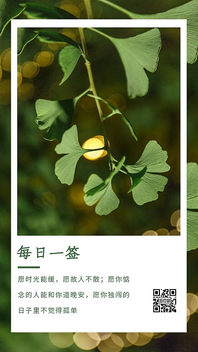摄影绿色每日一签小清新心灵鸡汤日签