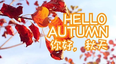 你好秋天公众号封面