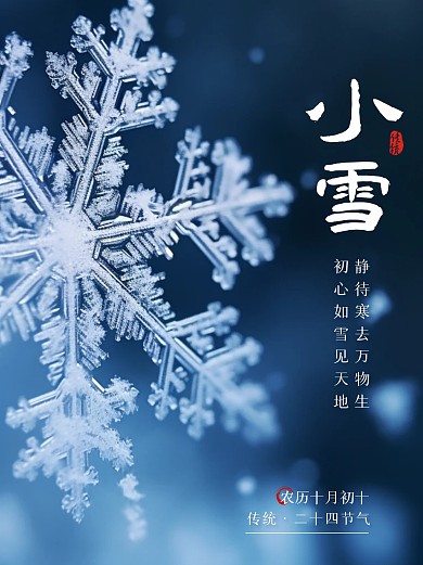 小雪传统节气问候祝福宣传简约小红书