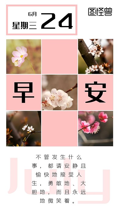 花朵简约大气几何英文早安日签