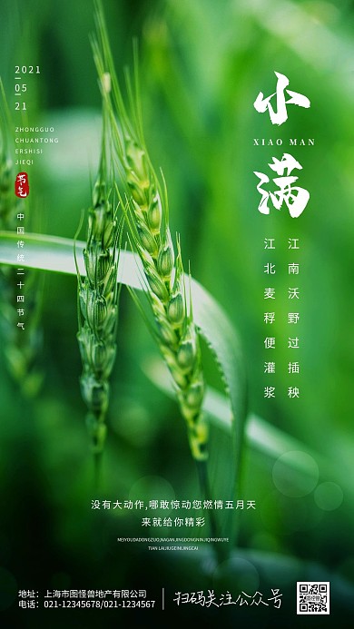 二十四节气之小满节气摄影图海报