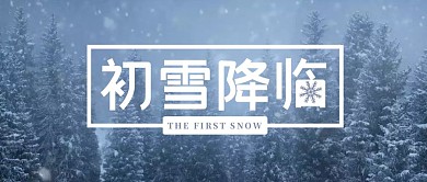 寒冷冬天雪松树灰蓝雪花公众号封面首图