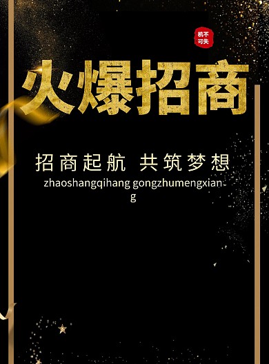 商务招商加盟黑色金币金色大气