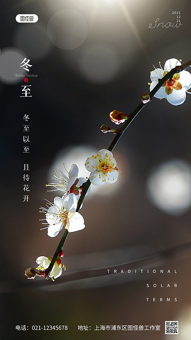 冬至节日节气祝福咖色简约风摄影图海报