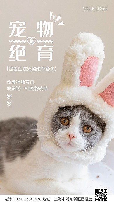 宠物绝育套餐黄色简约风摄影图海报