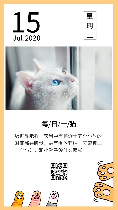 每日一猫简约白色日签