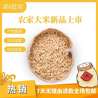 农家大米黄色双十一电商主图