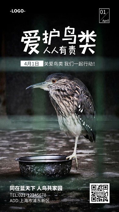 4.1爱鸟日：保护鸟类摄影图手机海报