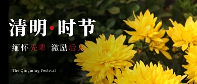 黑色菊花摄影风祭奠清明节公众号封面首图