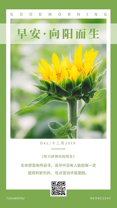 简约摄影早安每日一签绿色日出向阳日签