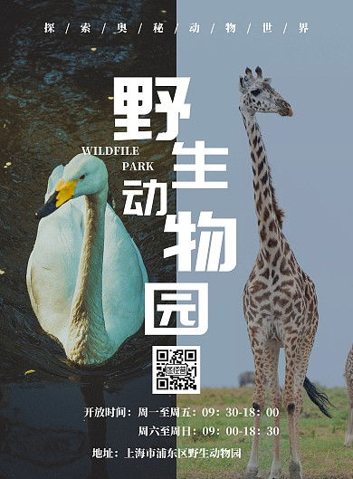 野生动物园简约竖版海报