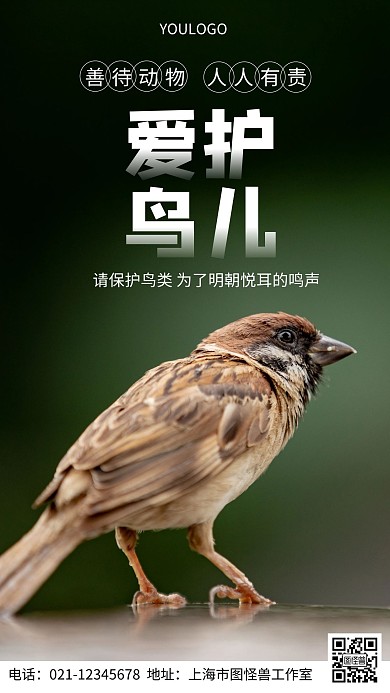 摄影图爱护鸟儿简约风手机海报