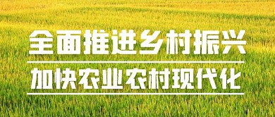 全面推进乡村振兴加快农业农村现代化公众号