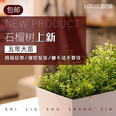 棕色简约石榴树电商主图直通车