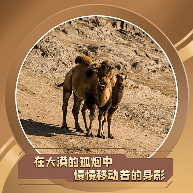 骆驼沙漠简约棕色红包头像