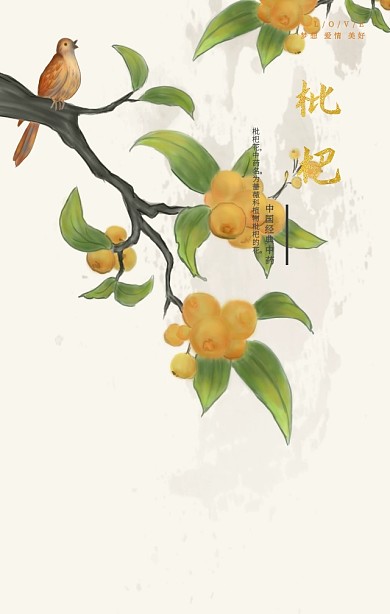 蜜蜂采蜜中国风枇杷花中医养生手机海报