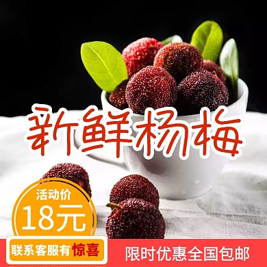 杨梅背景图宣传推广直通车