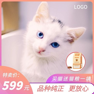 宠物限时特惠粉色简约主图直通车