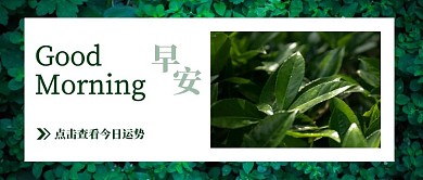 早安简约小清新文艺绿植问候运势公众号封面