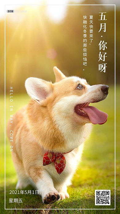 五月你好早安小清新宠物摄影图海报