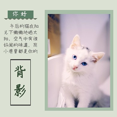 看着你的背影猫咪可爱绿色心情配图
