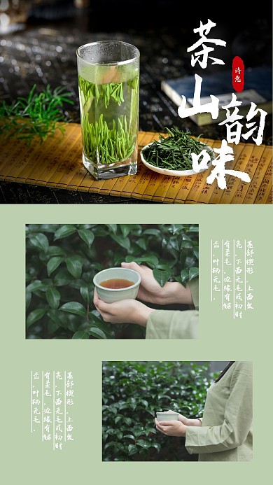 苦味茶茶叶营养醇香电商照片相册写真