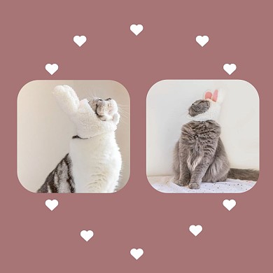 小猫咪可爱情侣头像