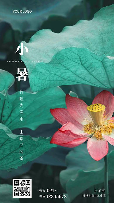 二十四节气小暑荷花荷叶摄影海报