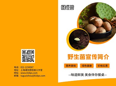 野生菌两折页宣传海报