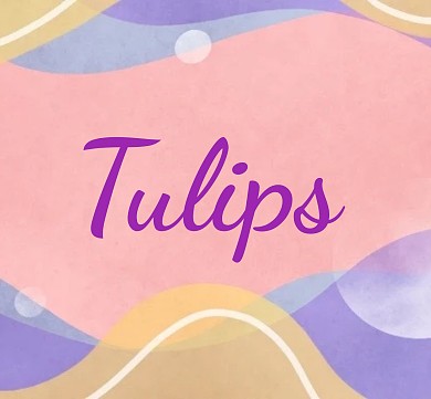 鲜艳黄色郁金香朋友圈封面模板