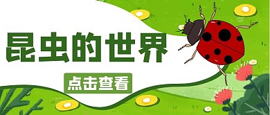 昆虫的世界绿色卡通公众号封面首图