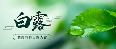 简约白露节气公众号首图