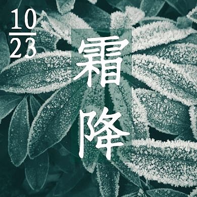 叶子摄影图片霜降公众号封面次图