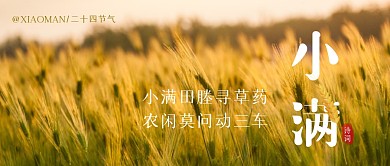 清新摄影小满节气小麦二十四节气诗词首图