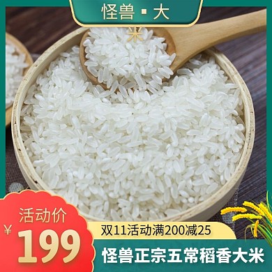 大米绿色简约时尚主图直通车