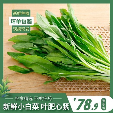 新鲜小白菜简约大气绿色主图直通车