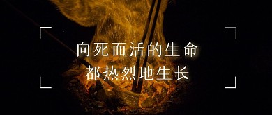文案句子摄影风
