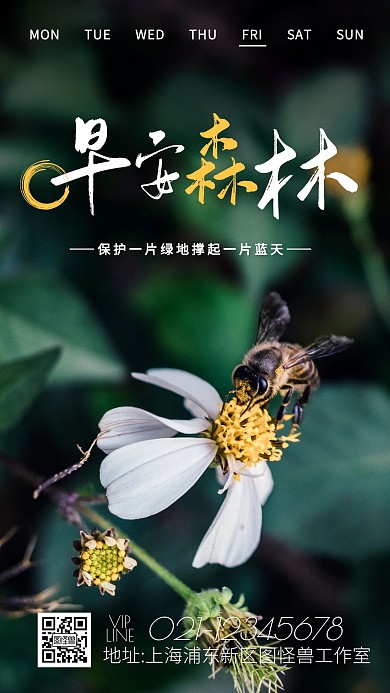 早安森林摄影简约创意大气日签