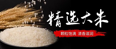 大米公众号封面