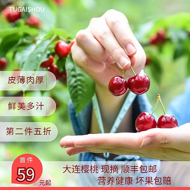 摄影实物现摘樱桃背景直通车主图