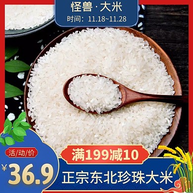 东北大米蓝色简约时尚主图直通车