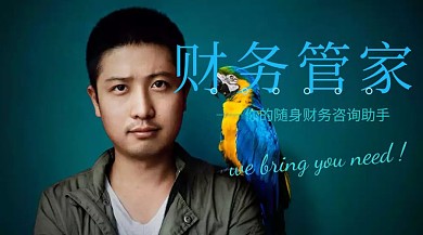 专业财务咨询服务商务