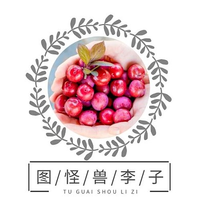 图怪兽李子logo